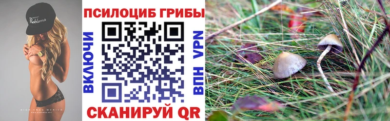 Купить  Жуковский  Галлюциногенные грибы мухоморы 